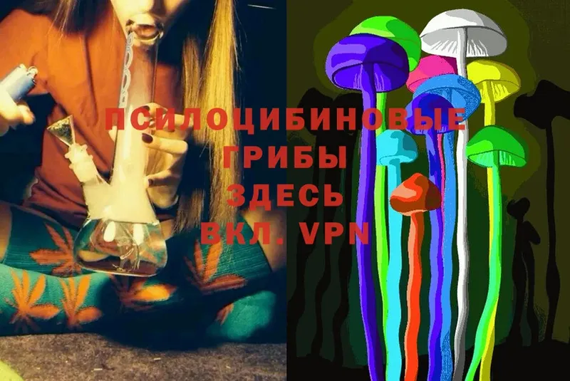 Галлюциногенные грибы Psilocybine cubensis  Лихославль 